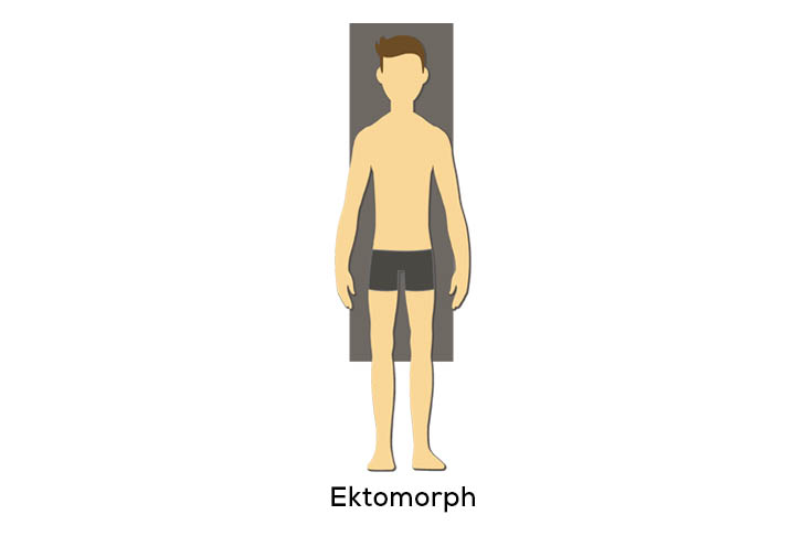 Ektomorphe männliche Volumendiät Ektomorphe männliche Volumendiät